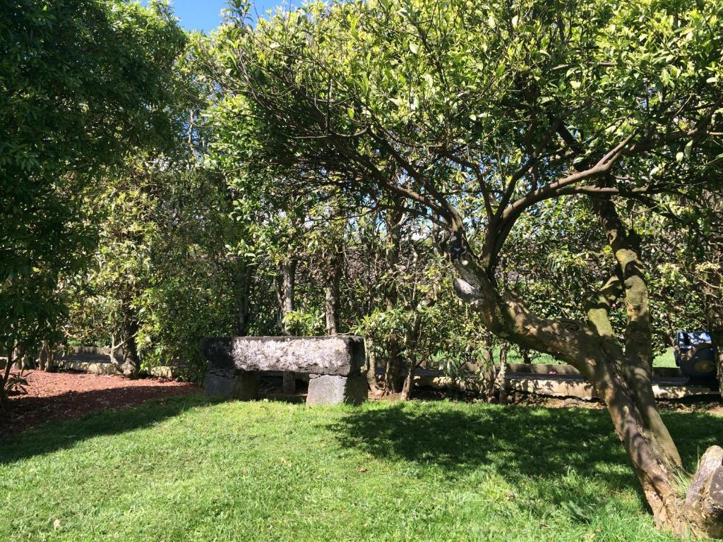 Quinta De Santa Clara Villa Ponta Delgada Dış mekan fotoğraf